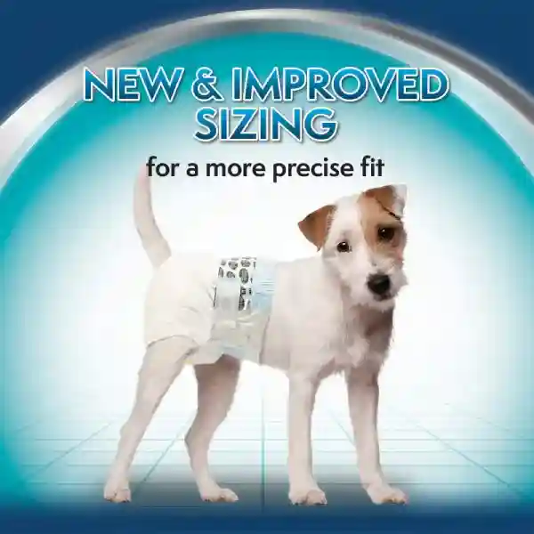 Simple Solution Disposable Dog Diapers