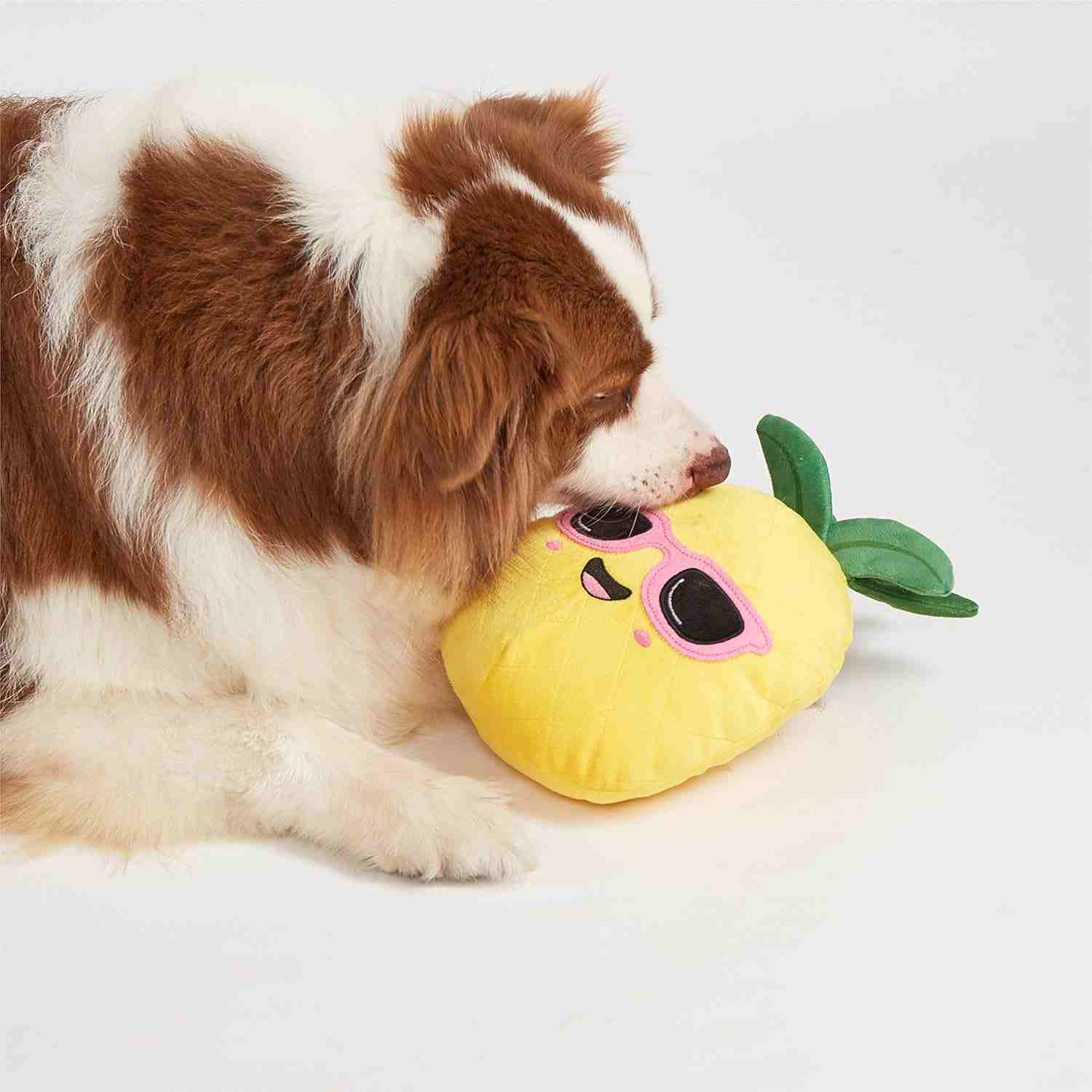 FOFOS Summer Plush Pineapple, Soft Squeaky Dog Toy