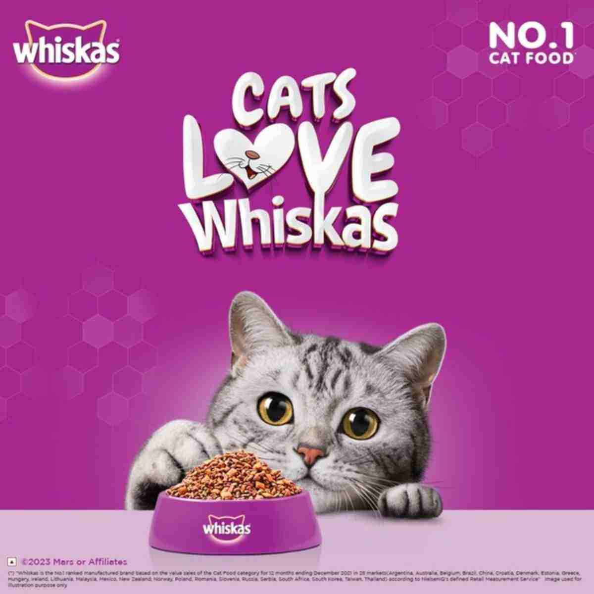 Whiskas Chicken Flavour Adult (+1 year) Dry Cat Food