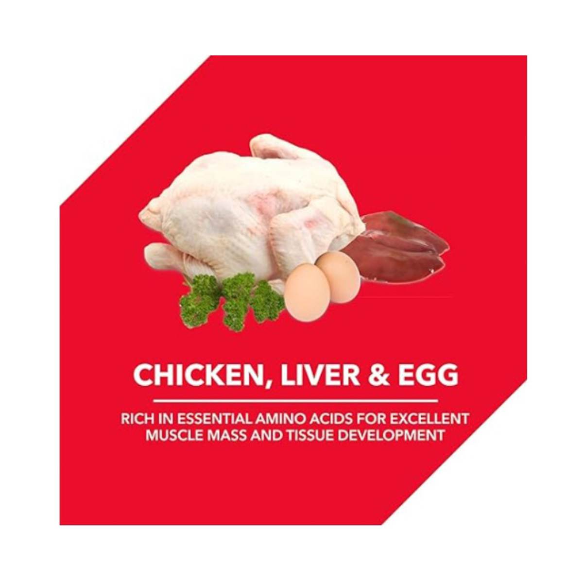 Drools Adult Chicken & Egg Dry Dog Food - 20 Kg