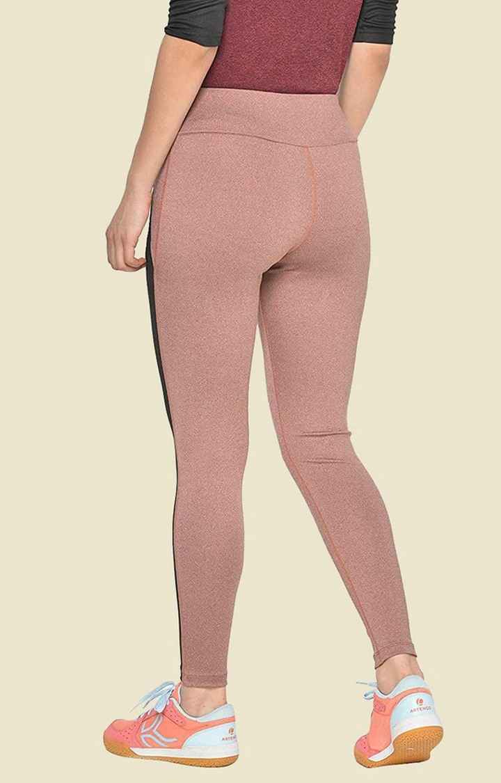 Women's  Brown Solid Polyester Tights