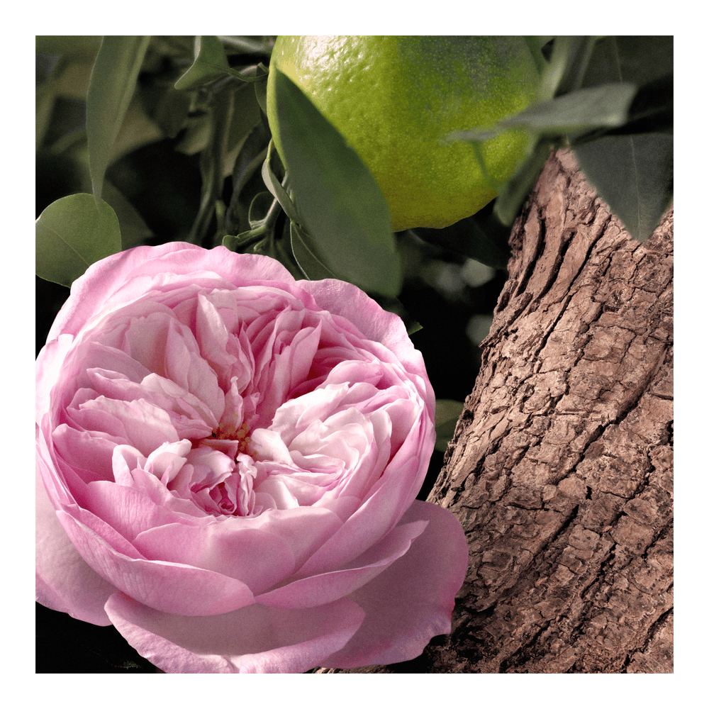 Rose Naturelle Intense Eau De Parfum • 50ml