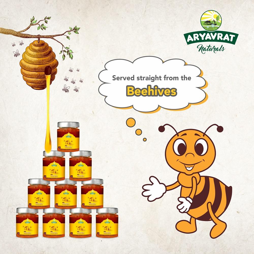 Aryavrat Naturals Organic-Raw Honey 500 Gram I 100% Pure Organic and Natural