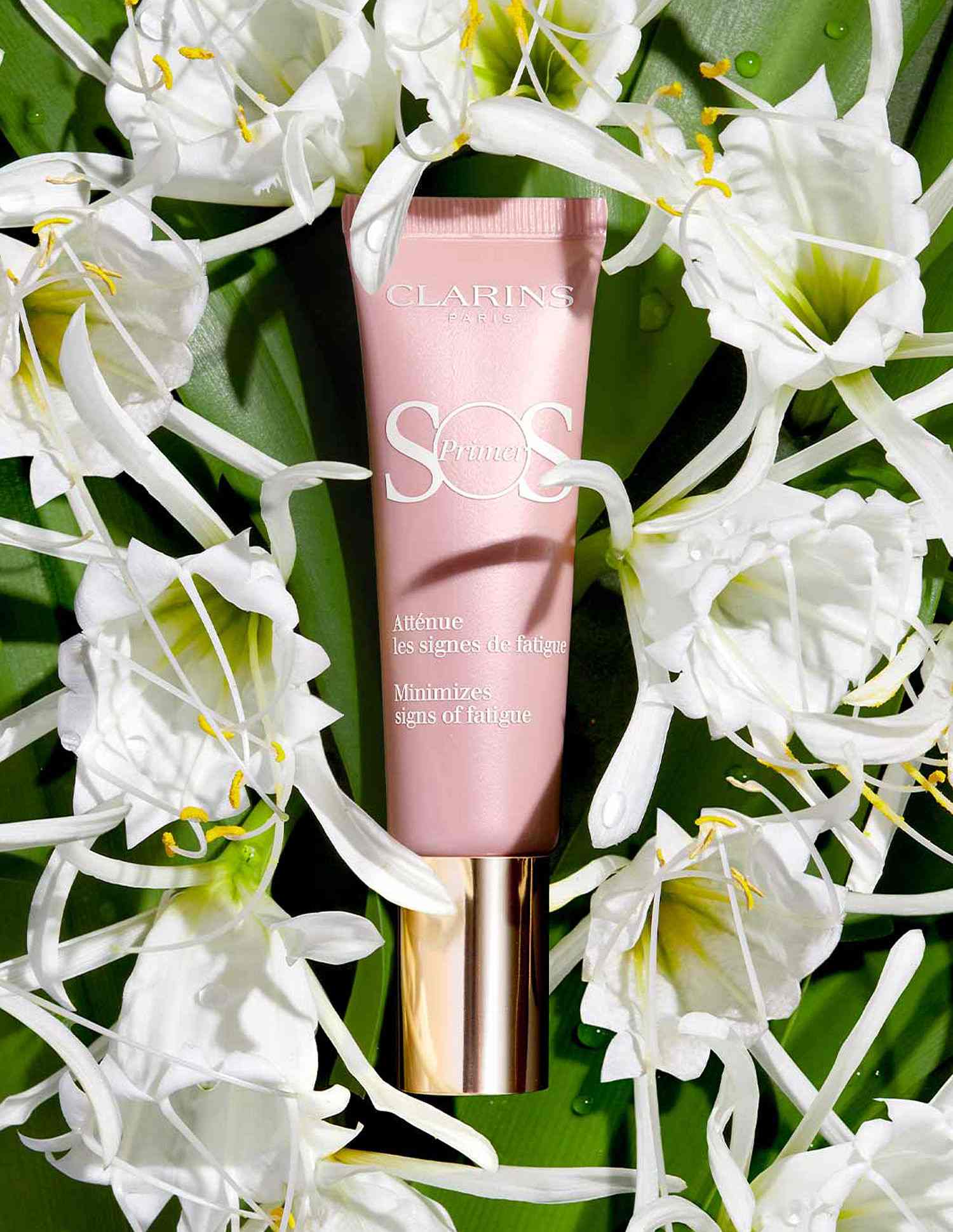 SOS Primer • 01 Rose