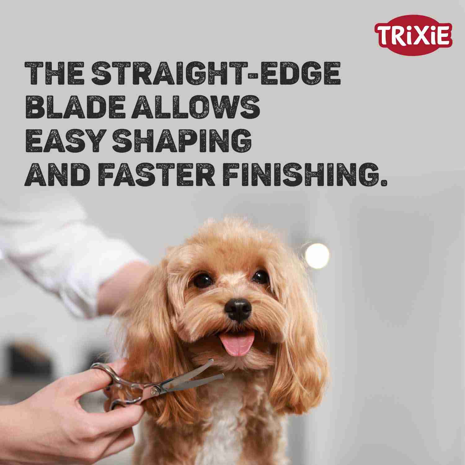 Trixie Professional Straight Scissors, Stainless Steel 20 cm