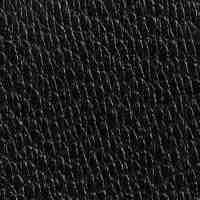 Essential Flap Card Case