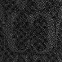 Charter Crossbody Bag 19 In Signature Canvas