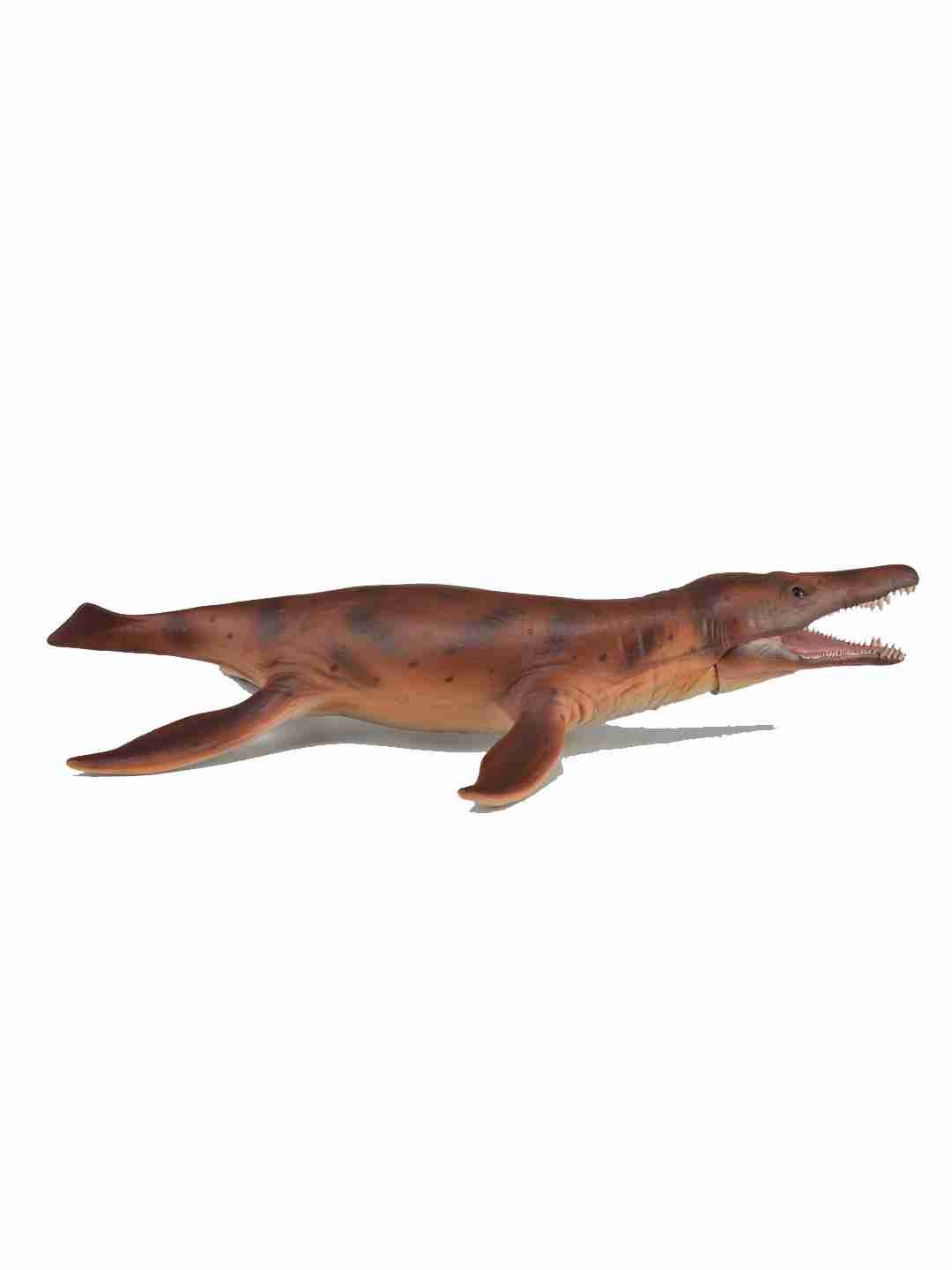 https://cdn.fynd.com/v2/falling-surf-7c8bb8/fyprod/wrkr/products/pictures/item/free/original/collecta/88775/4/kg3Xu41zss-491374374_5.jpg