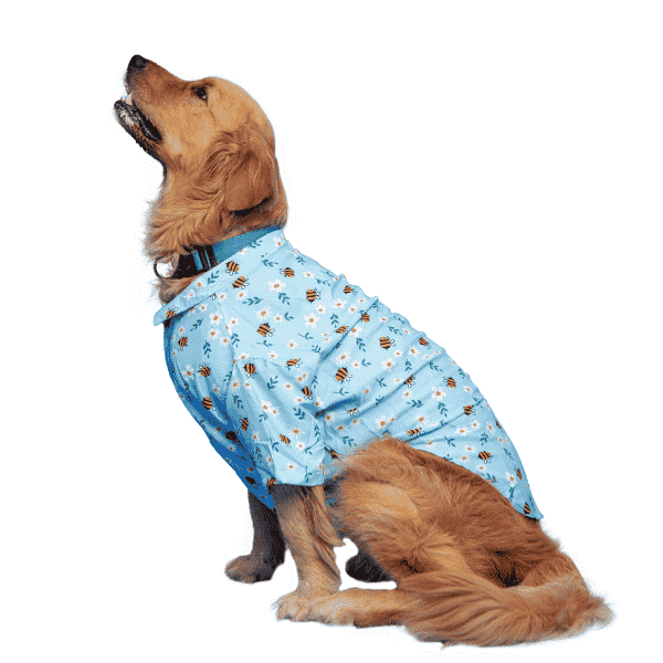 Ezra Polyester Blend Dog Shirt - Honey Bee