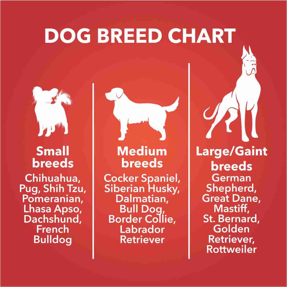 Drools All Life Stages Dog Treat Biscuits 800g