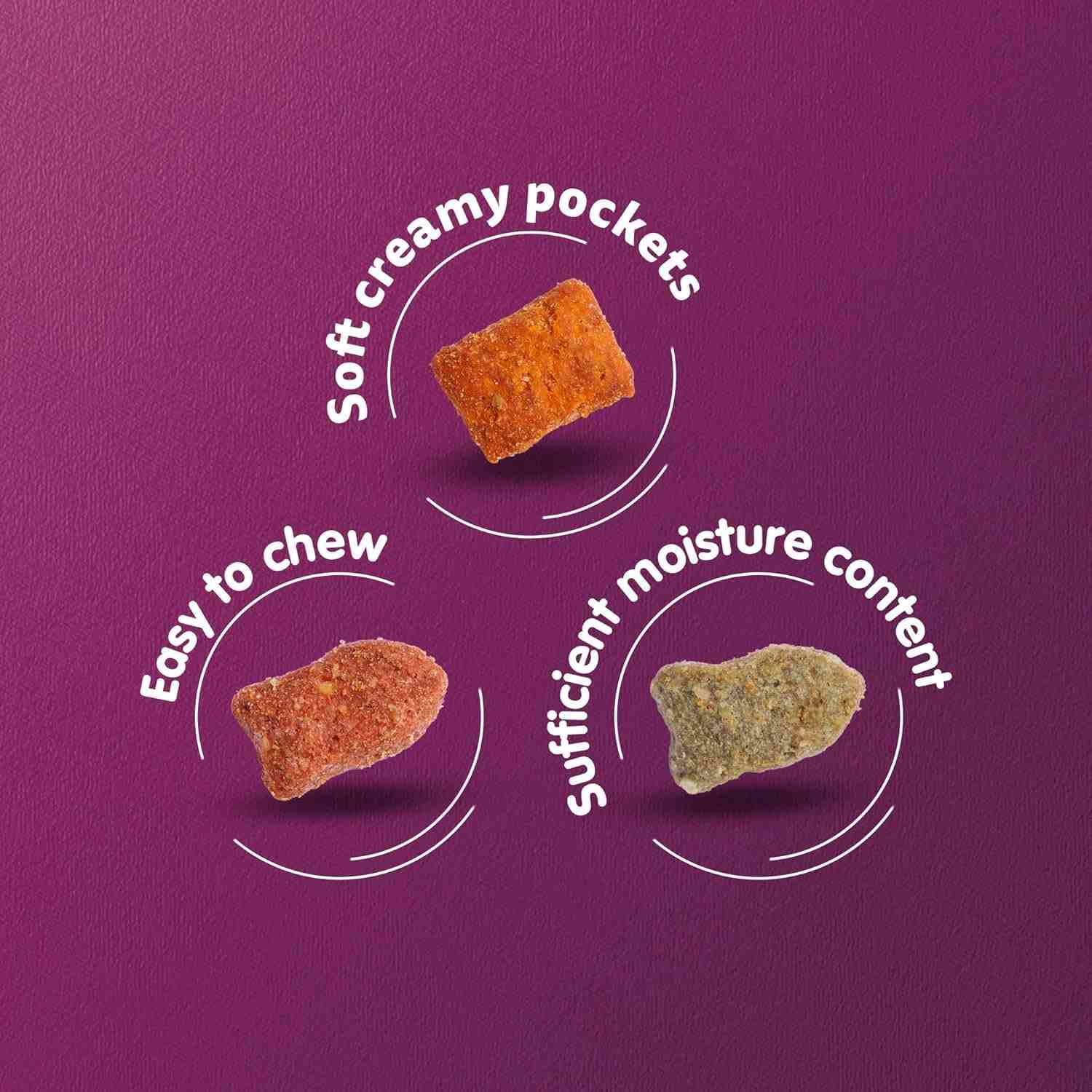 Whiskas Ocean Fish Flavour Adult Cat Dry Food