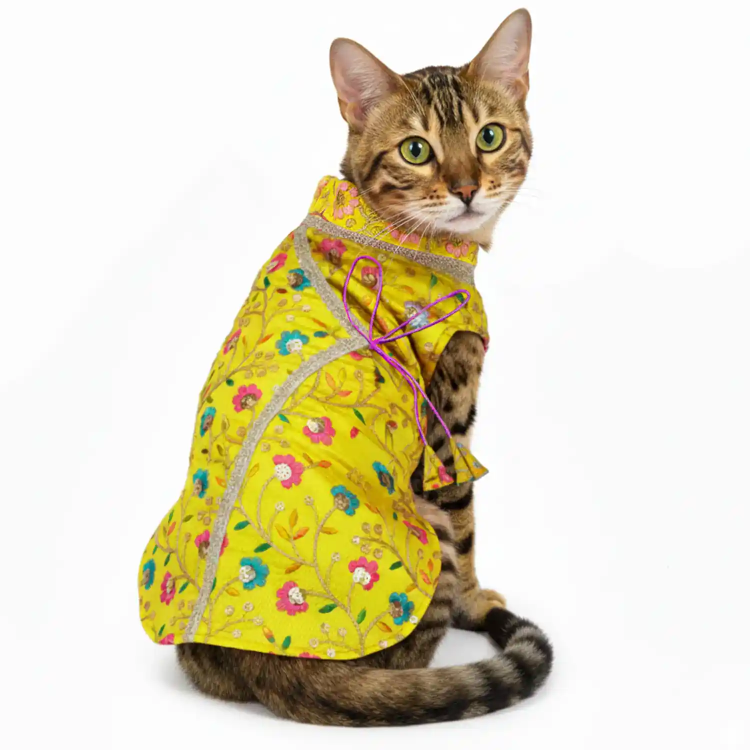 PawsIndia Traditional Marigold Yellow Prince Kurta for Cats