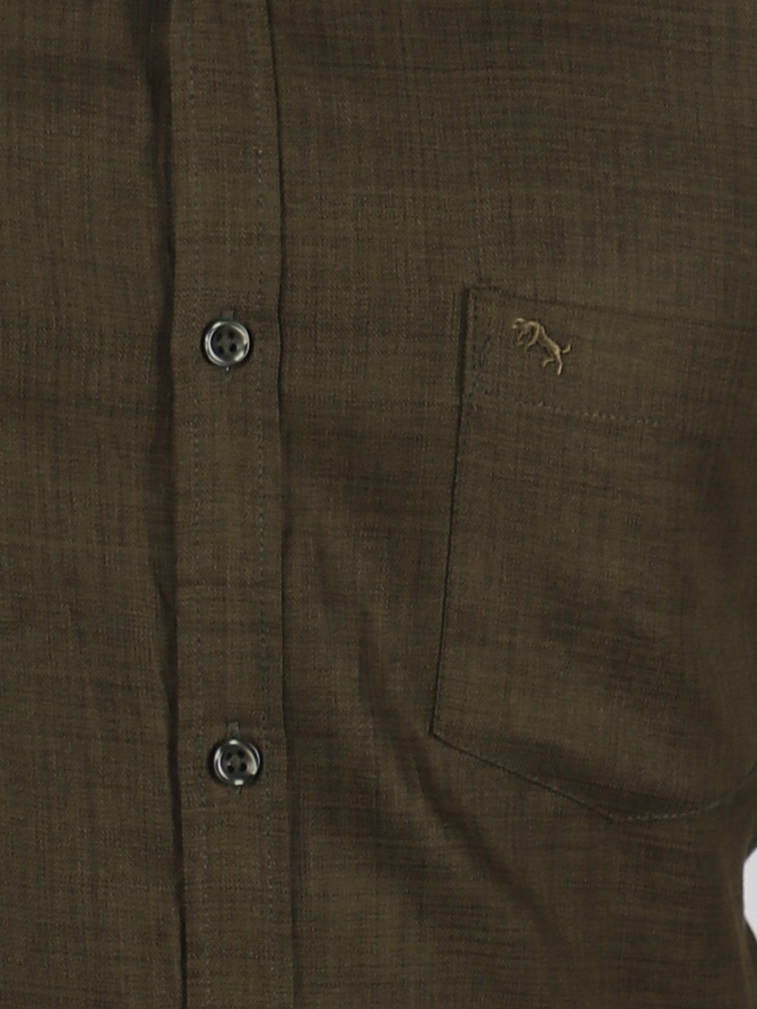 D'cot by Donear Men's Green Cotton Formal Shirts