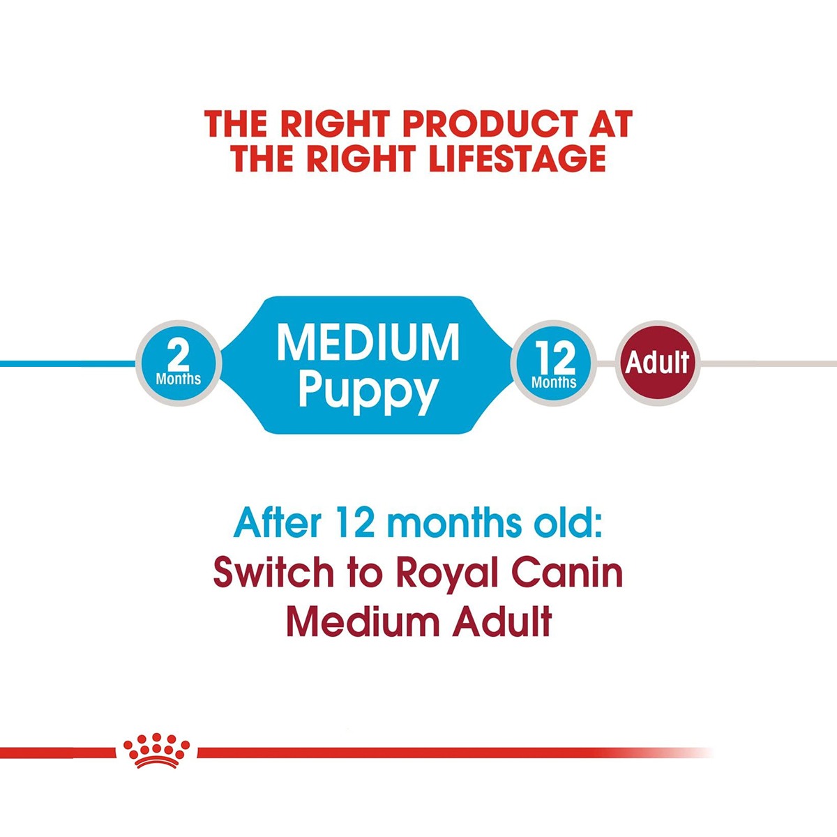 Royal Canin Medium Puppy Dry Dog Food