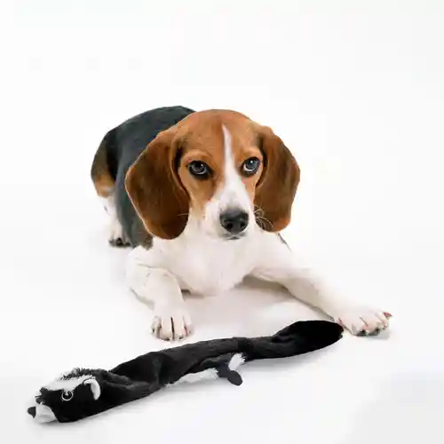 Barkbutler Fofos Skinneez Skunk Toy for Dogs
