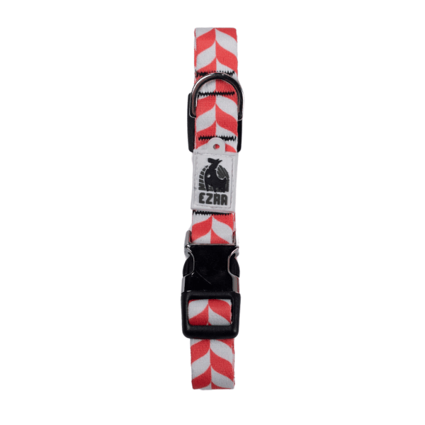 Ezra Digital Print Dog Collar - Assorted