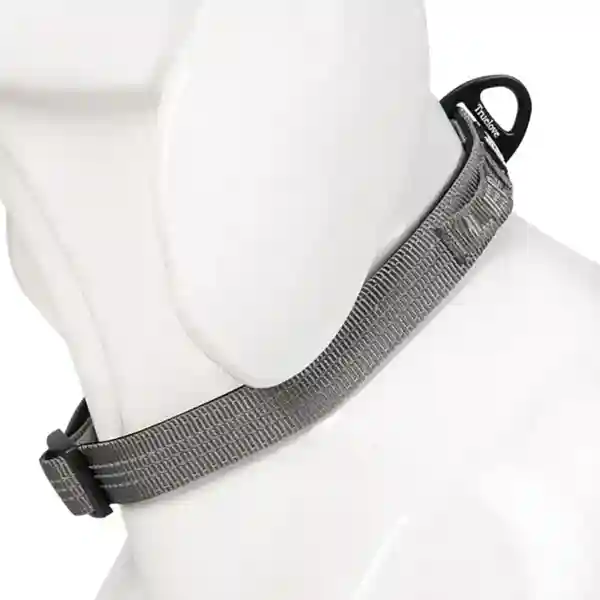 Barkbutler Truelove Padded Collar For Dogs, Gray