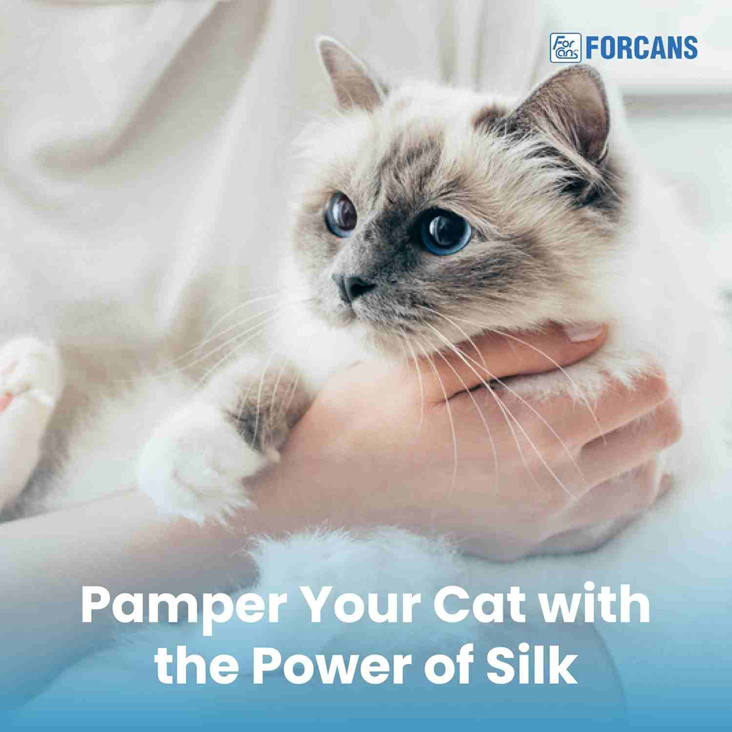 Forcans Cat Short Coat Shampoo & Conditioner