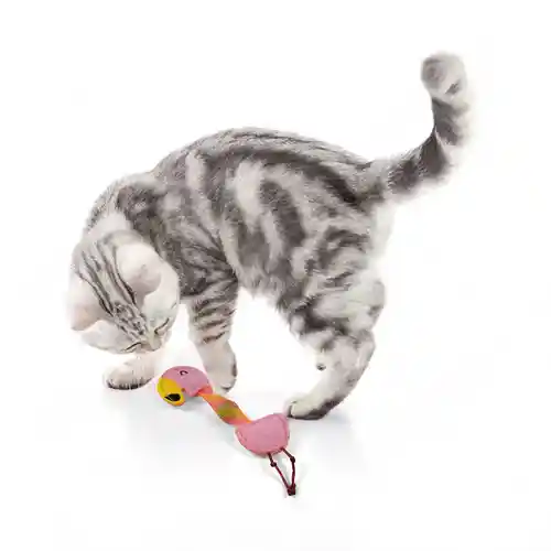 Barkbutler Fofos Flamingo Flick Tube Catnip Toy for Cats