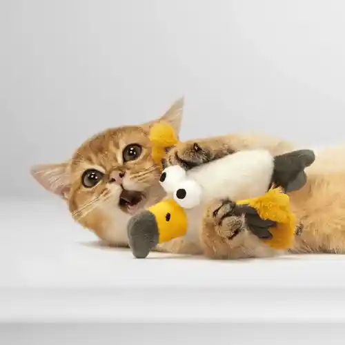 Barkbutler Fofos Eagle with Catnip Balls Interactive Toy for Cats