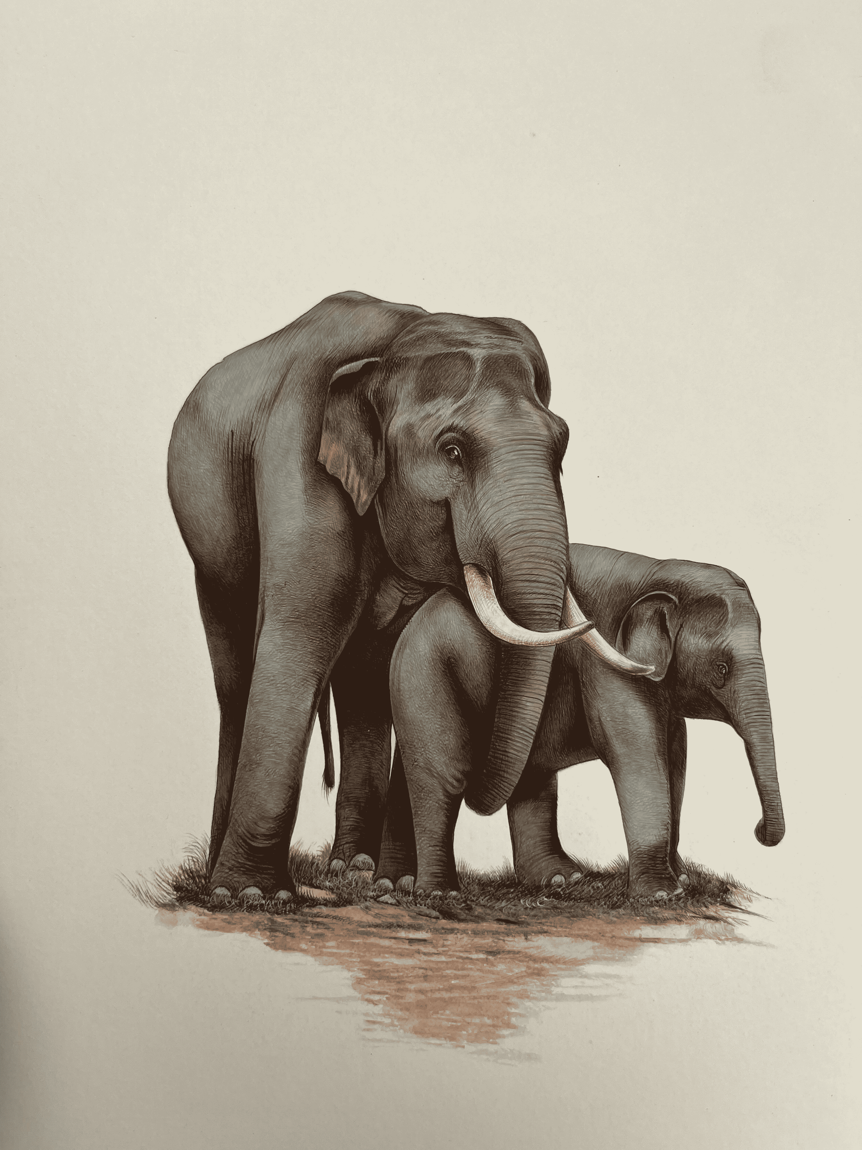 The Bond Of Elephants In Miniature Painting