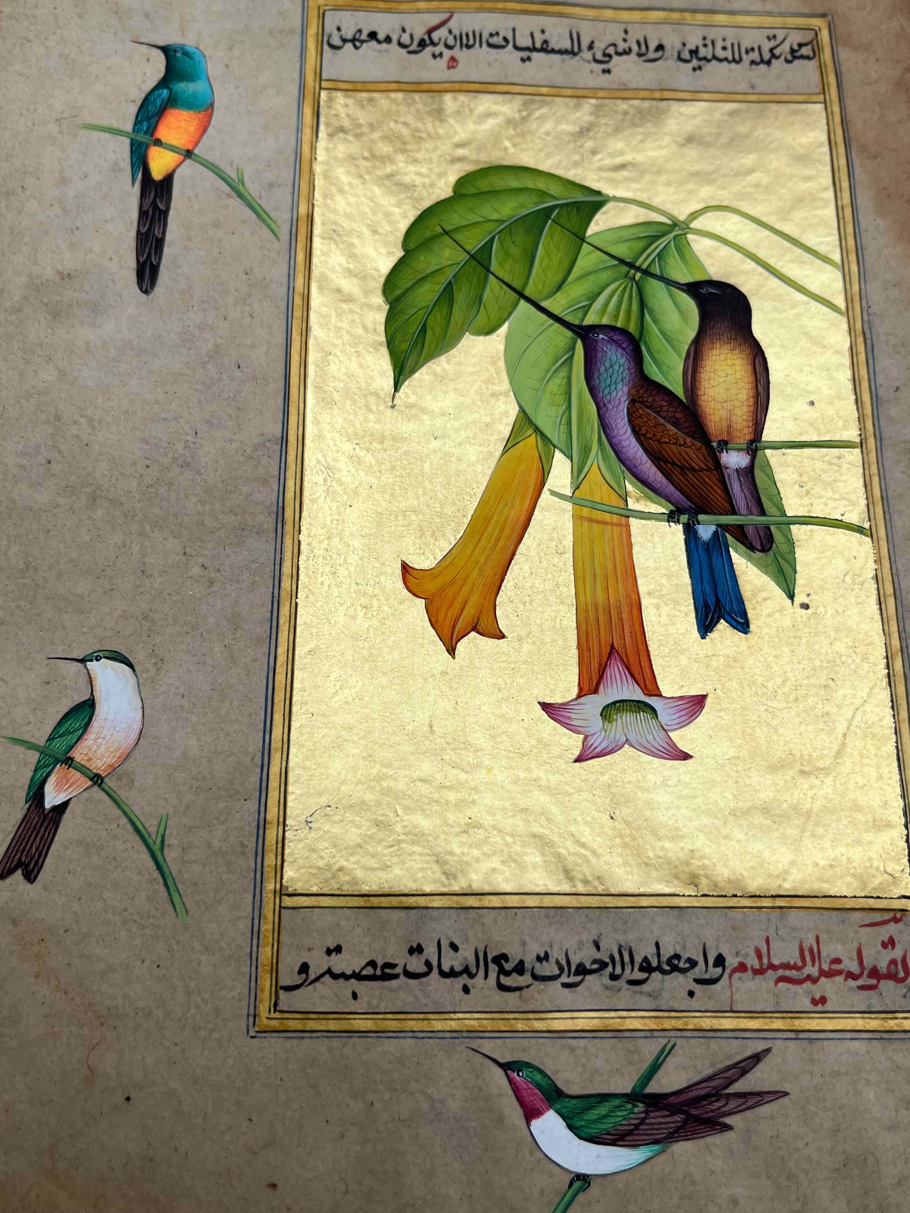 Humming Bird Miniature Painting