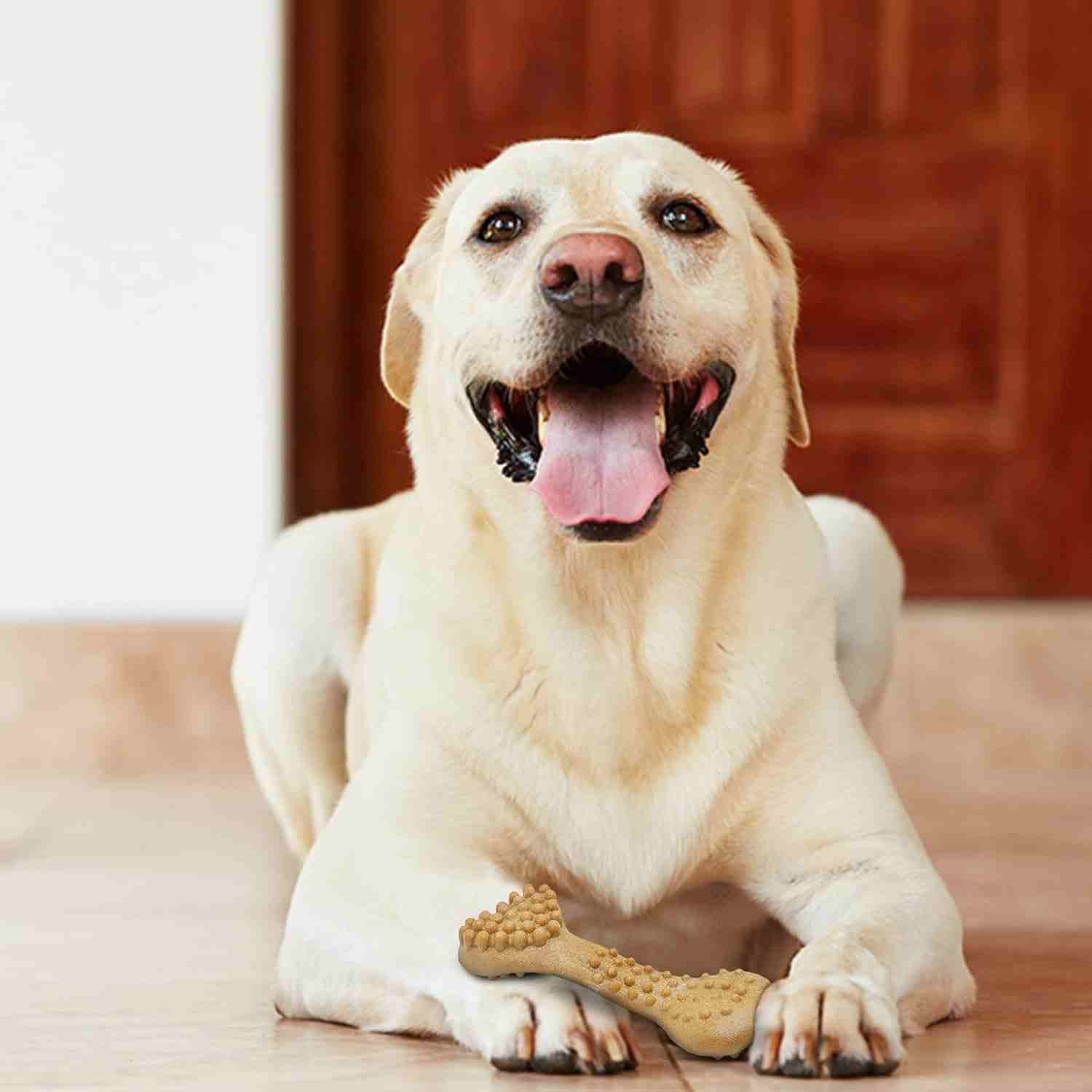 Barkbutler Fofos Woodplay Brush Bone Toy for Dogs, (17x7 cm)