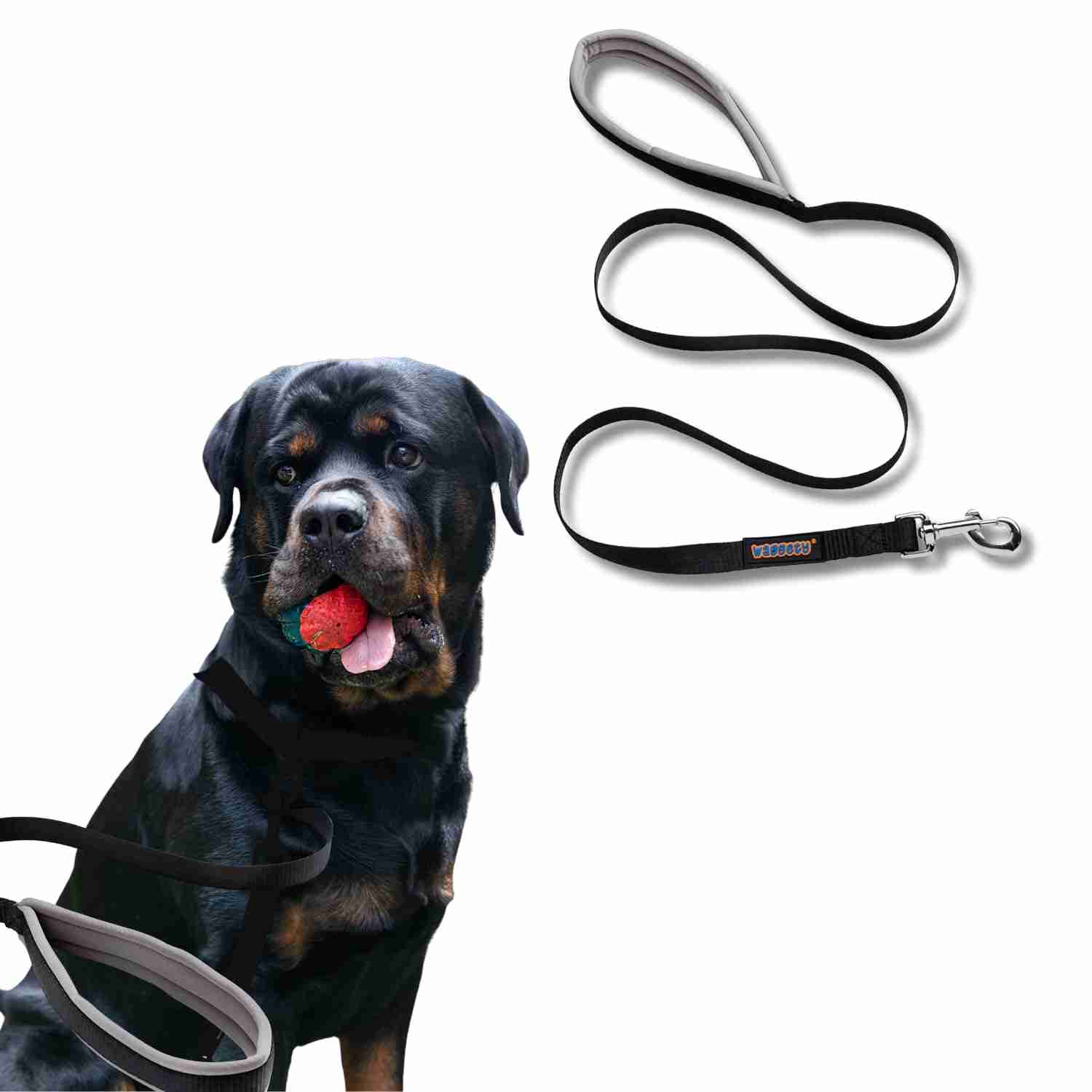 Waggety Dog Leash, Black