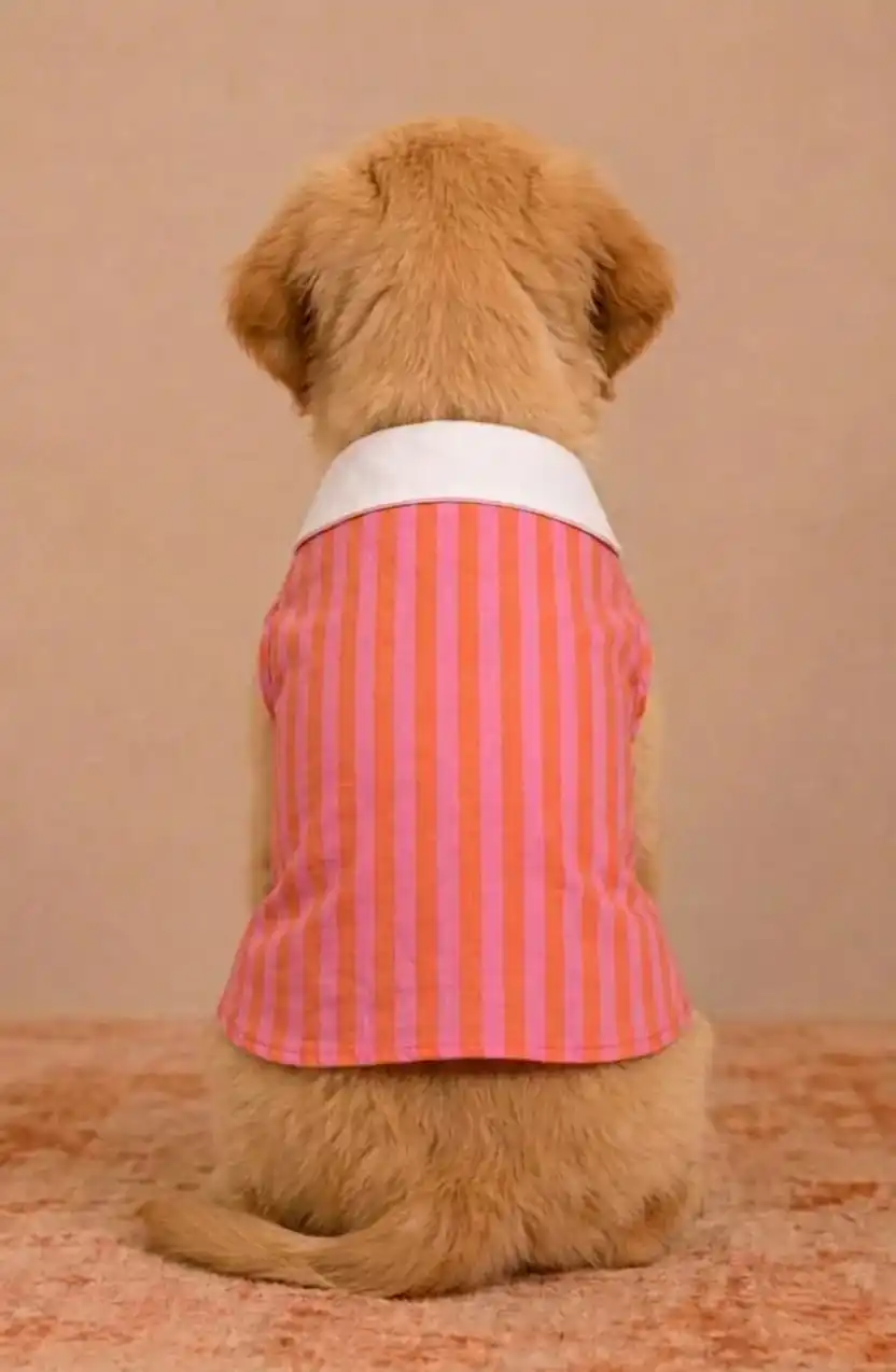 Pawsh Pet Candy Stripe Pet Tank Top Dogs & Cats, Pink