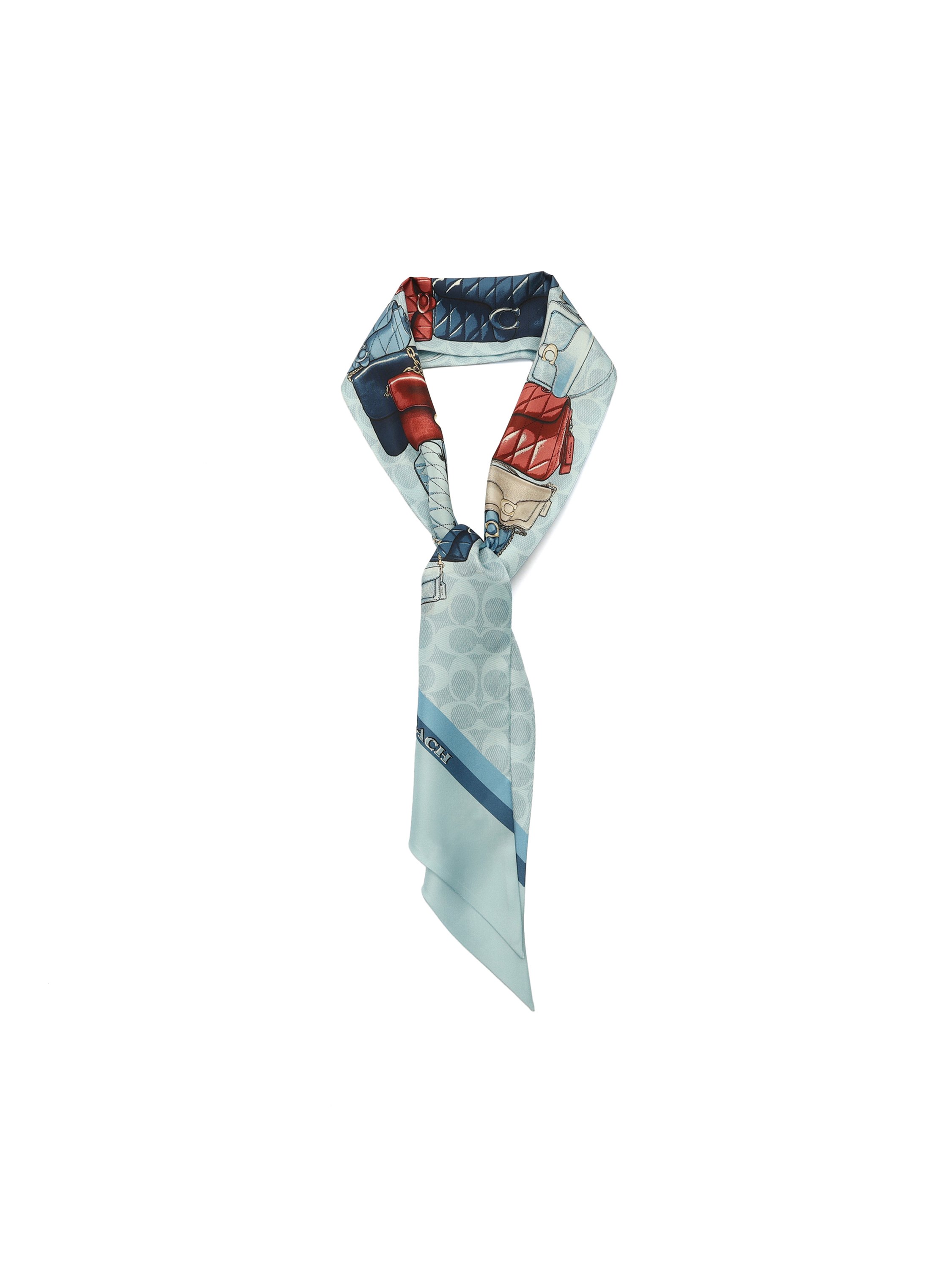 Stacked Tabby Printed Wide Silk Skinny