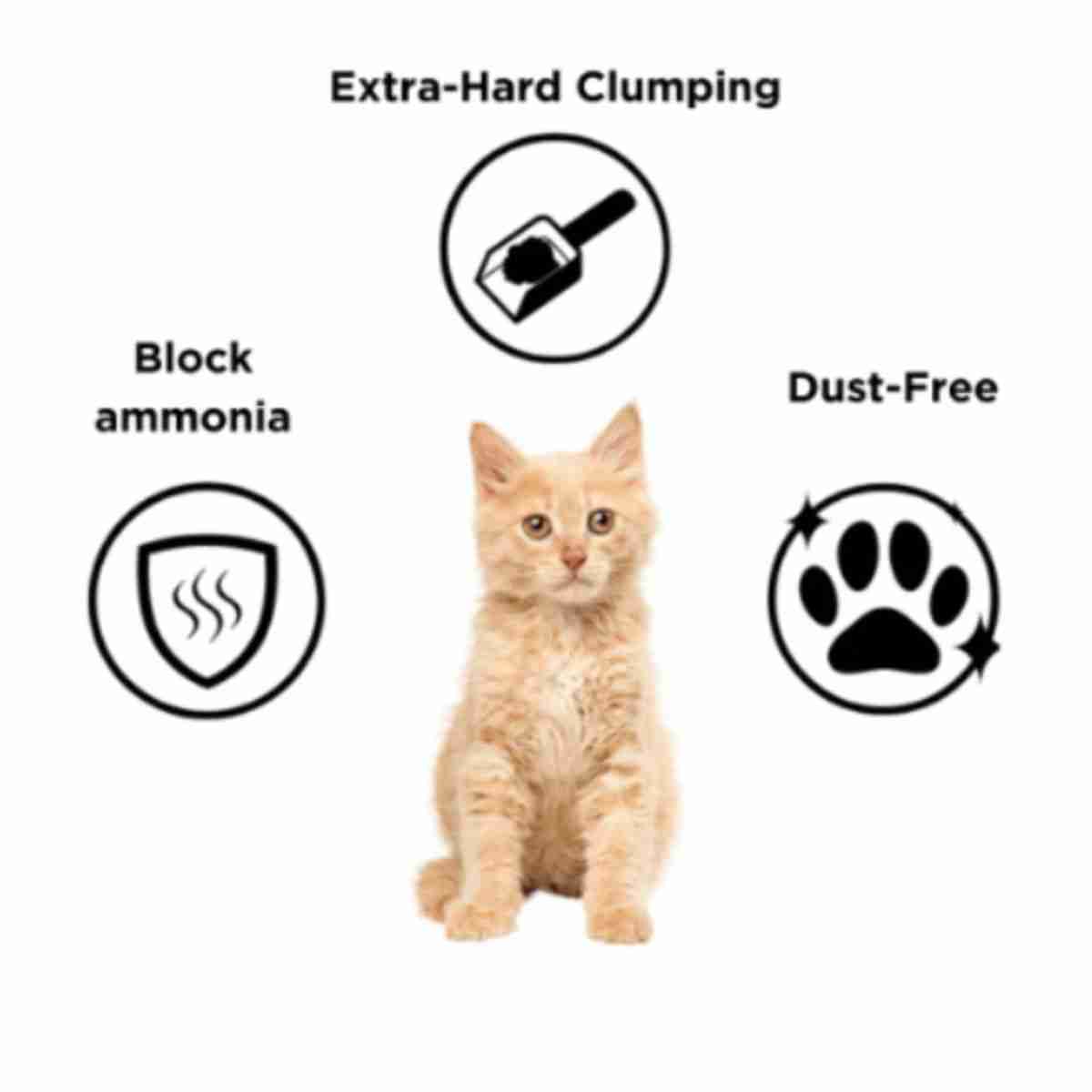 Odour Lock Cat Litter
