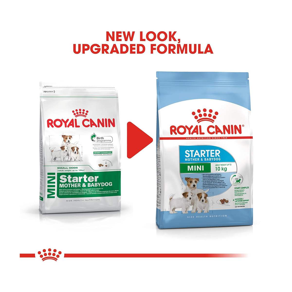 Royal Canin Mini Starter Dry Dog Food, 220g with Mini Puppy Gravy, 85g (220g + 85g)