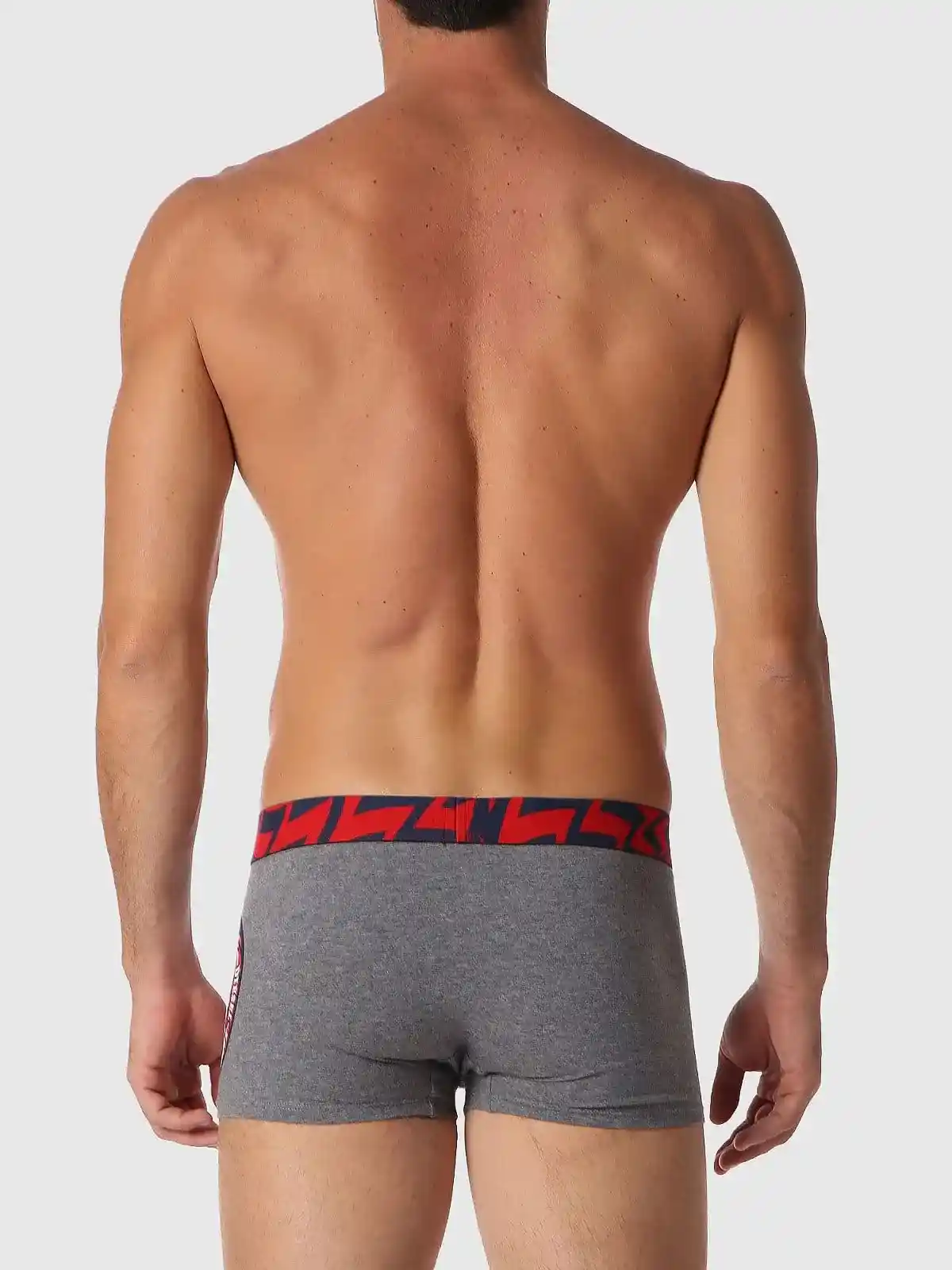 Multicolor and Grey Trunks with contrasting mohawk