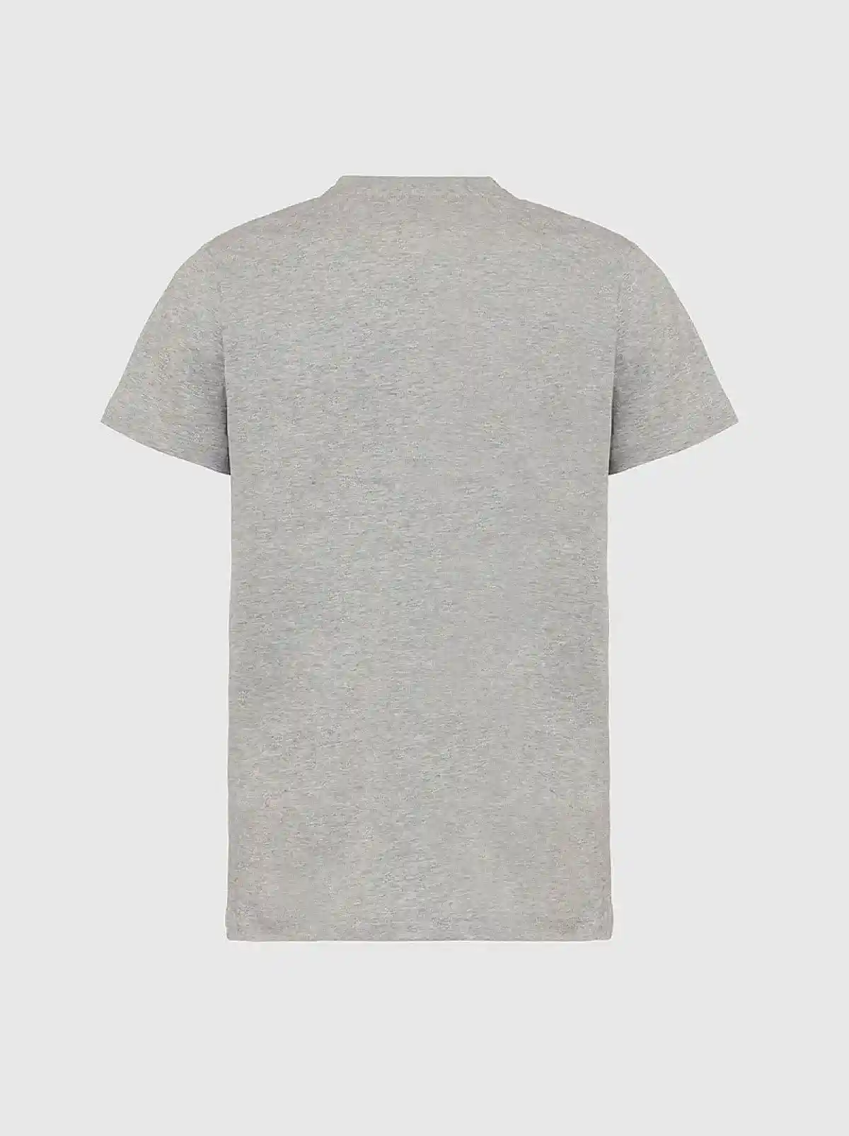 Grey T-shirt with dual logo print