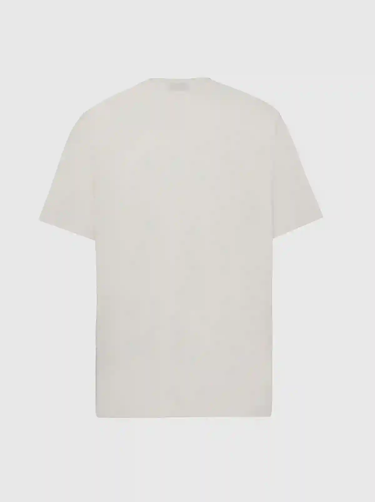 White T-shirt with dinosaur embroidery