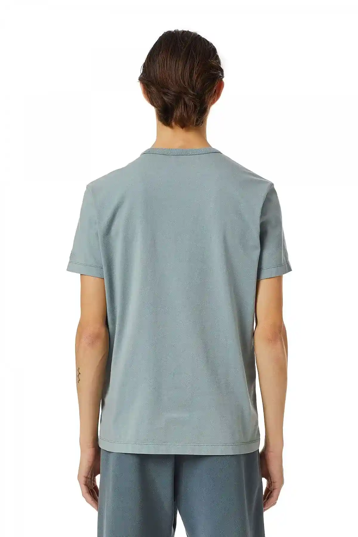 Grey T-shirt with Twelve Gods print