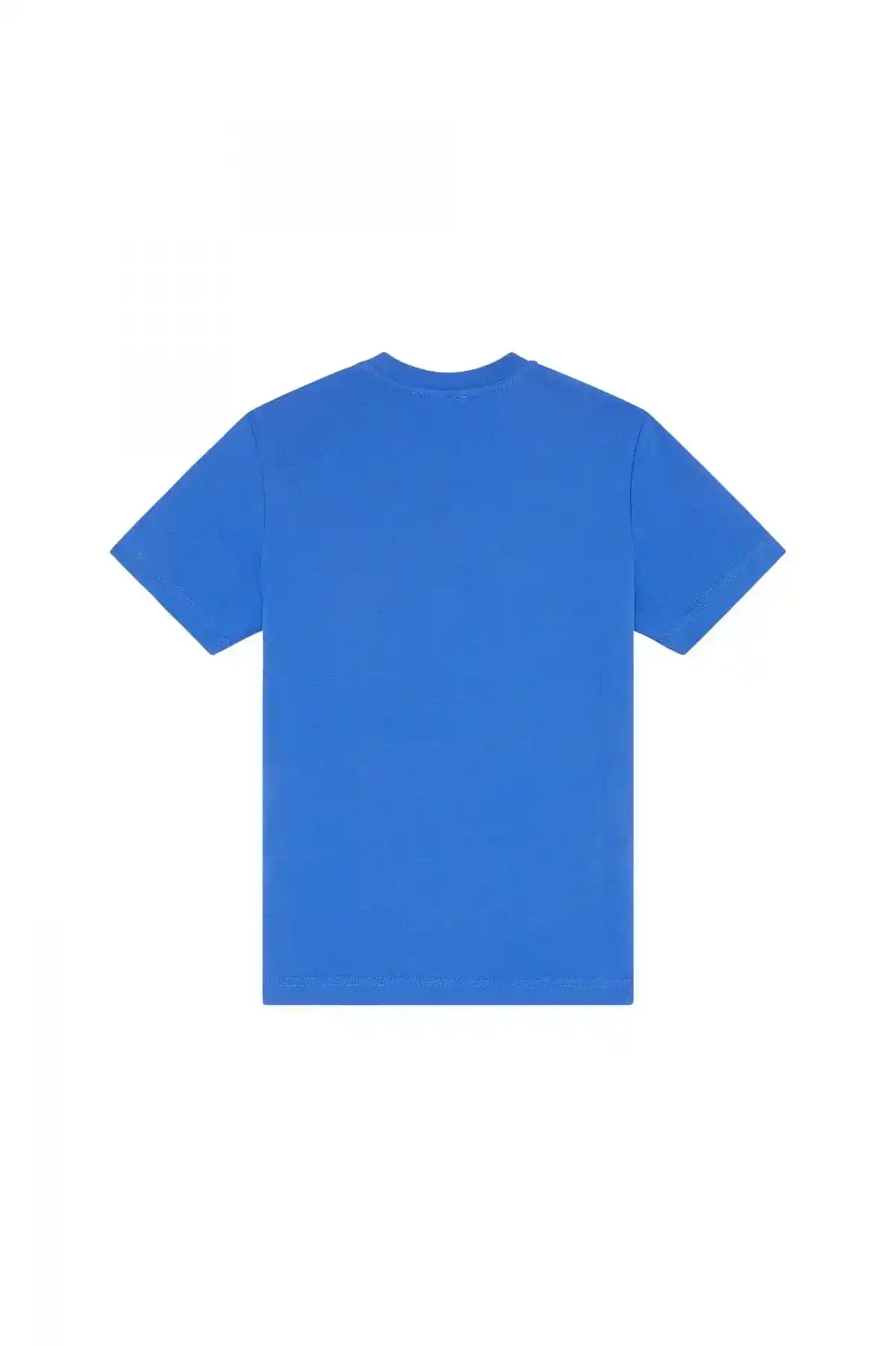Blue T-shirt with college logo print