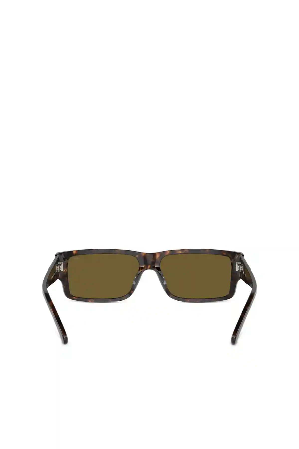 Brown 0Dl2003 Occhiale Sunglasses