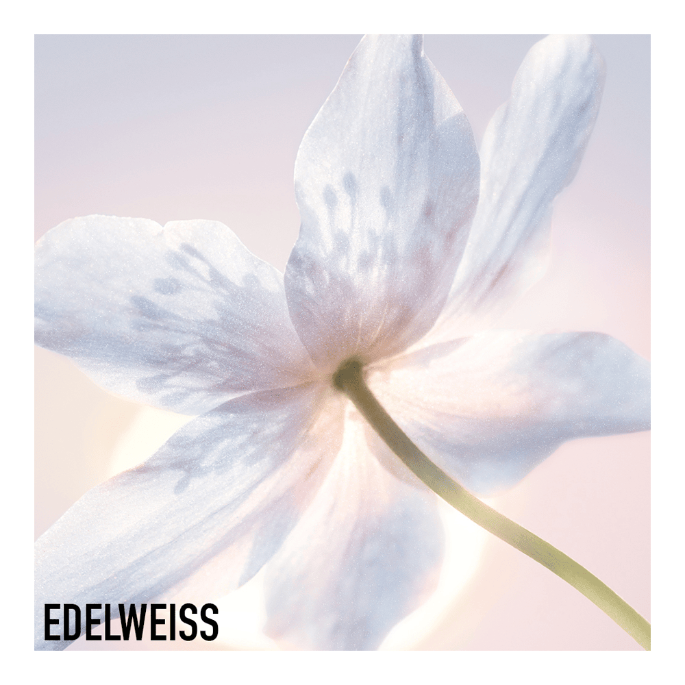 Diorsnow Essence Of Light Lock & Reflect Creme • 50ml