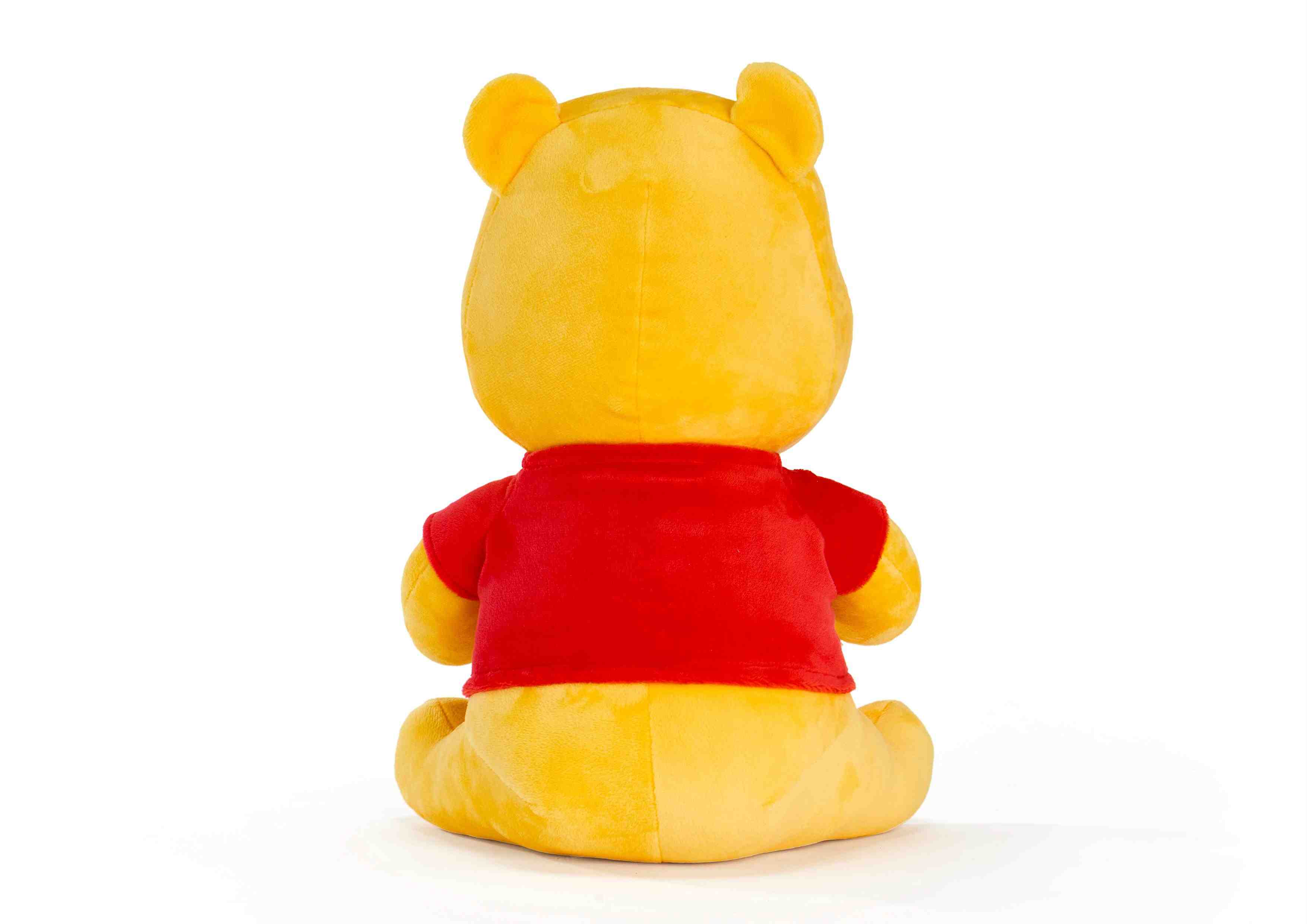 Disney Classic Winnie the Pooh 12" Multicolor 2Y+