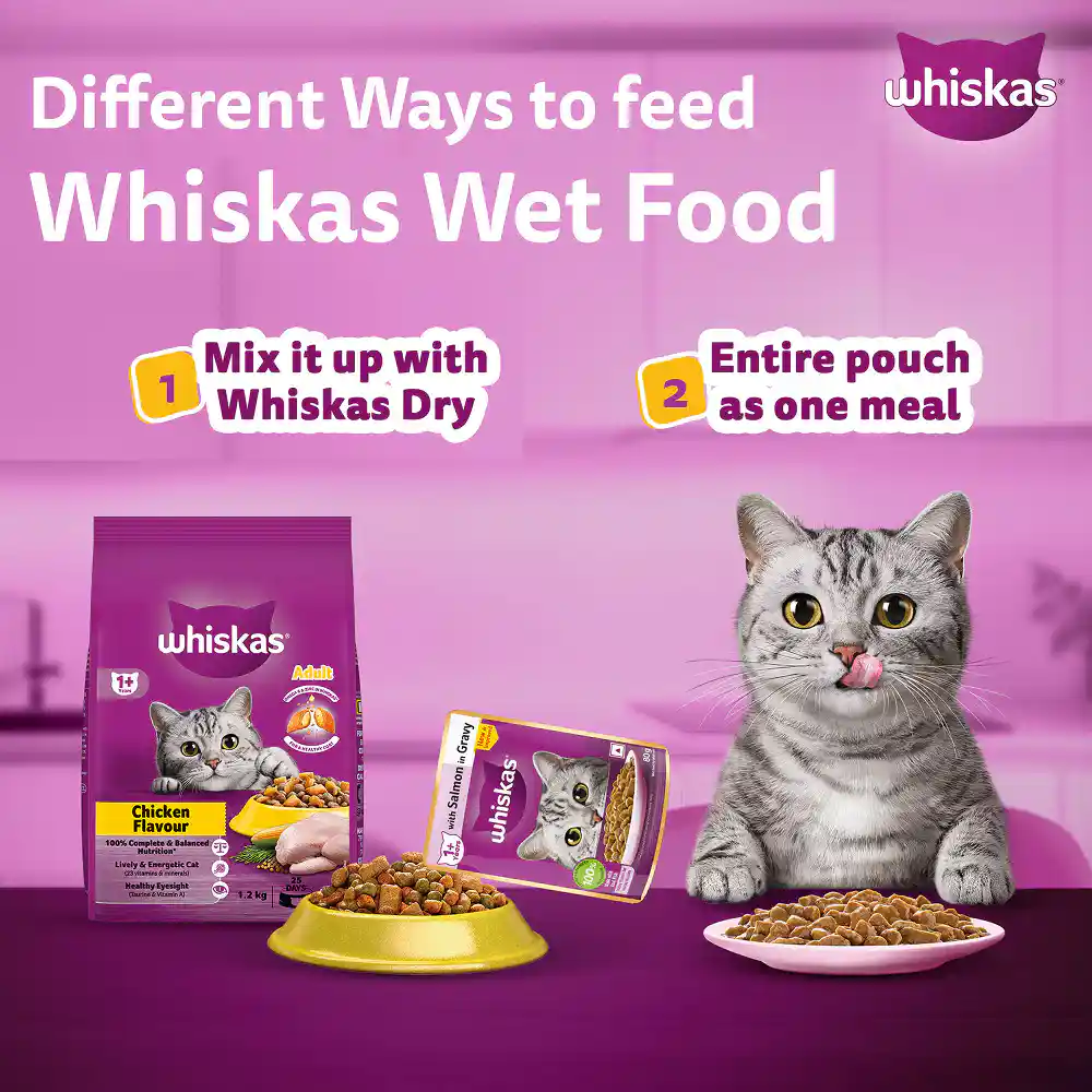 Whiskas Adult Salmon With Gravy 85 Gm – (Best Before Jan’26)
