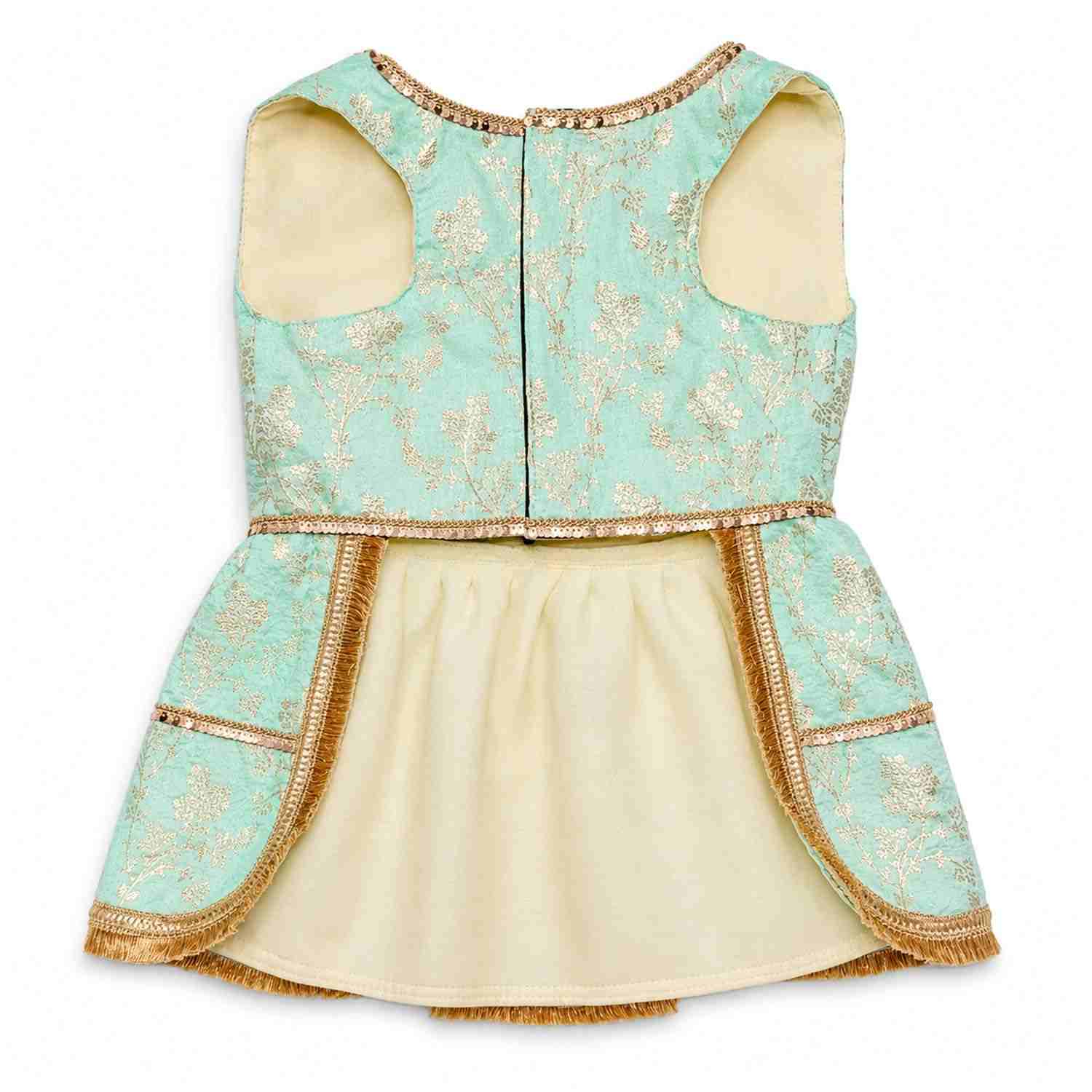 PawsIndia Traditional Royal Zari Dress For Cats - Ice Blue
