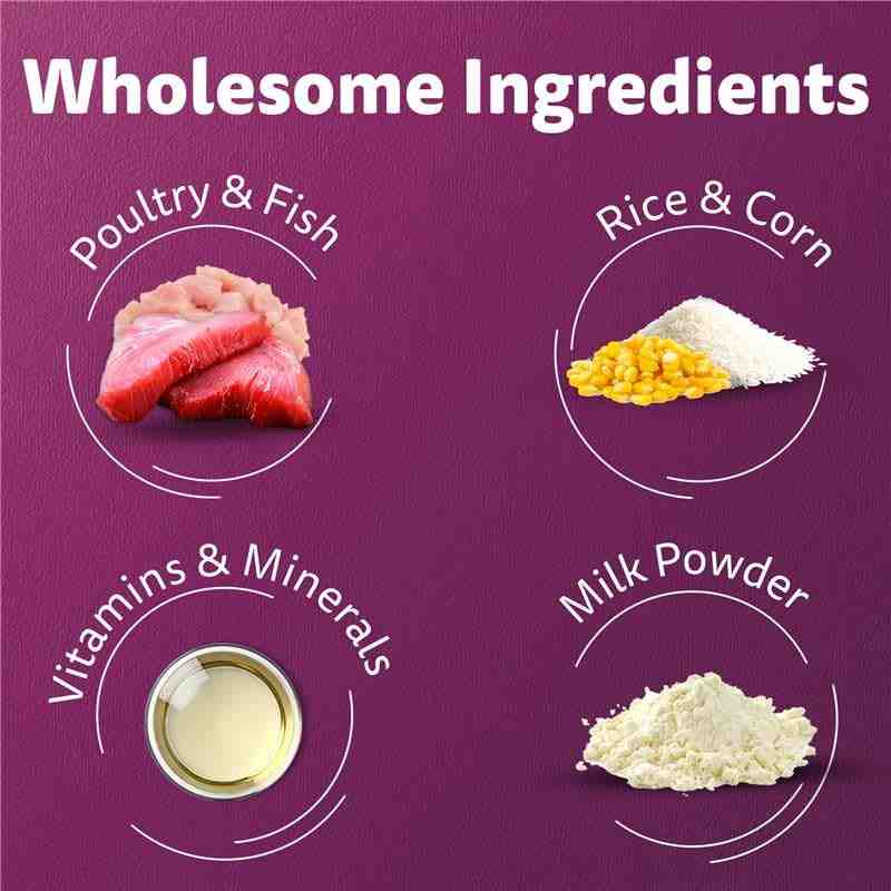 Whiskas Mackerel Junior Cat Dry Food