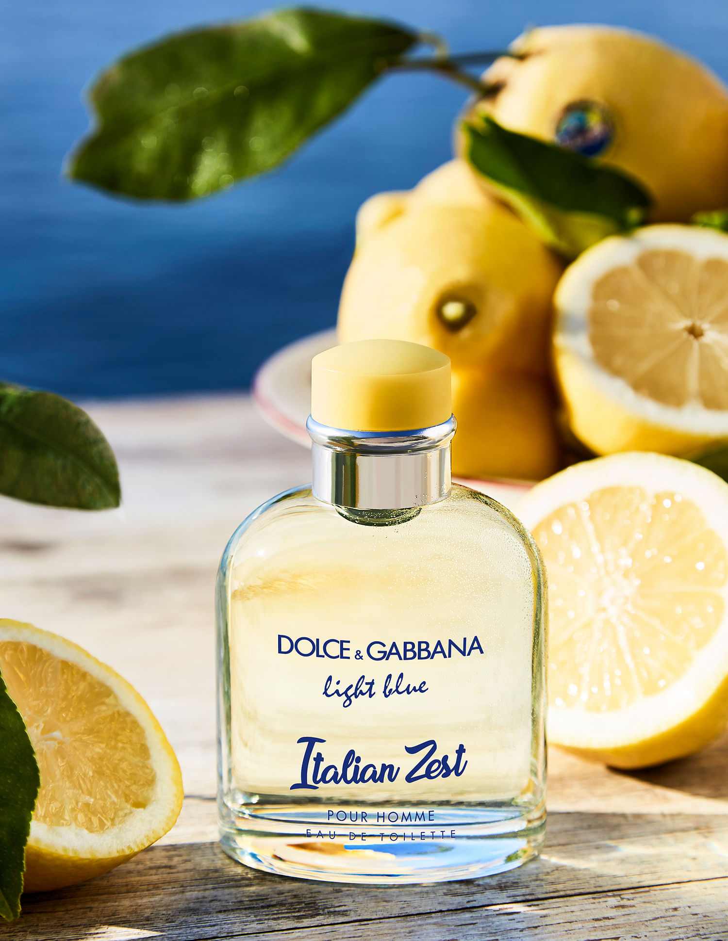 Italian zest dolce gabbana shop
