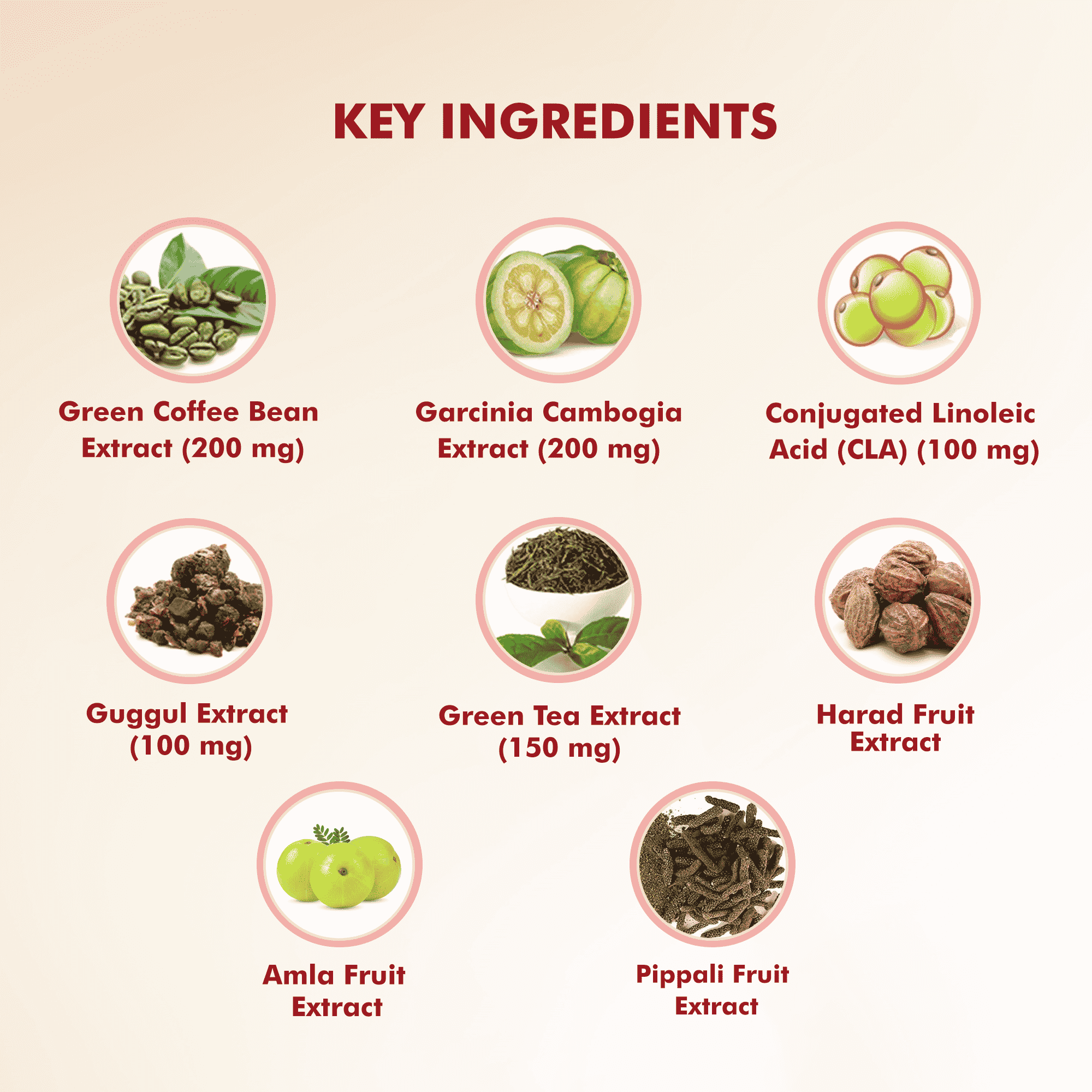 Dr. Morepen | Fat Burner Tablet 100% Natural And Safe | 60 Tab