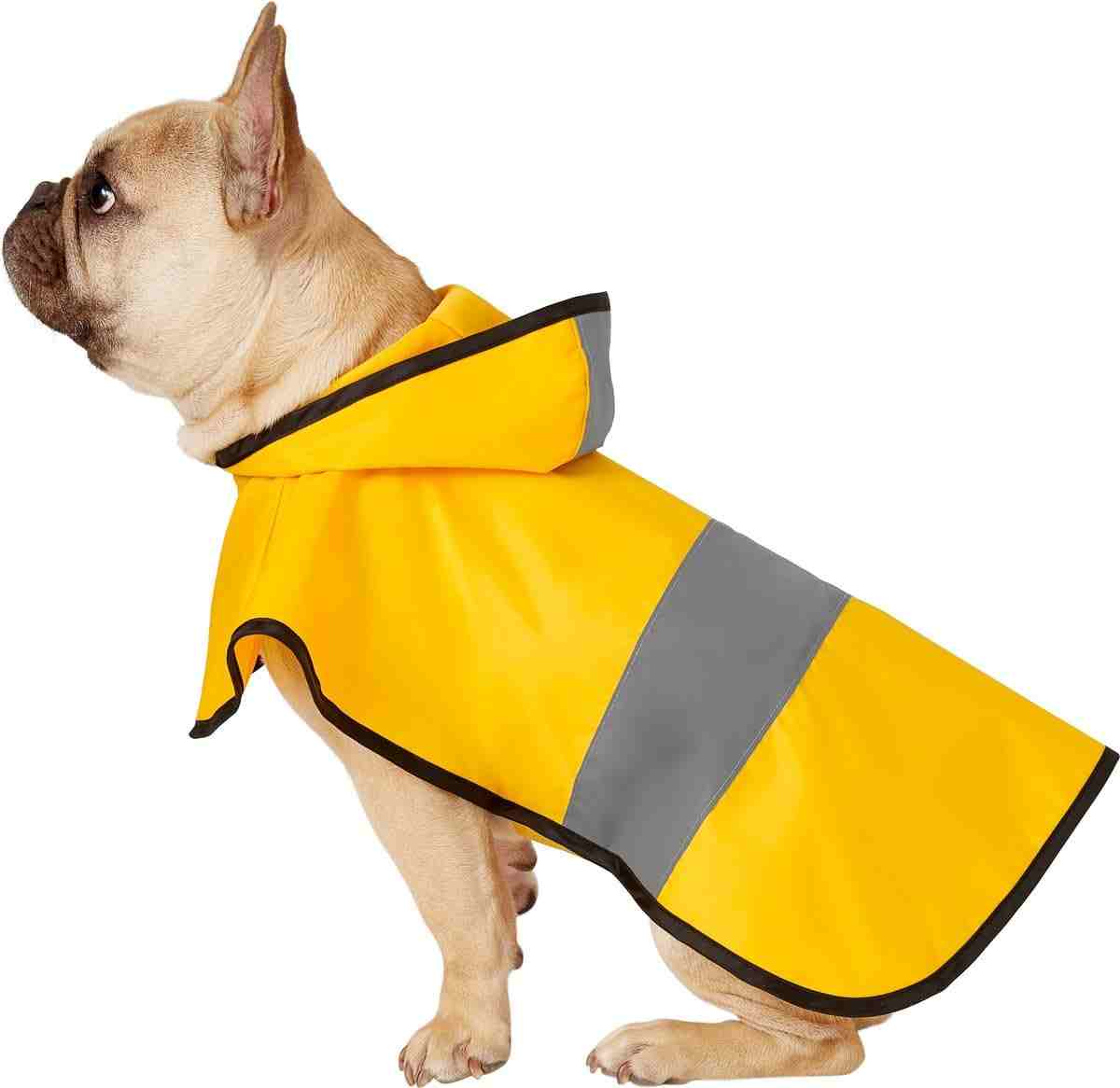 Pawsindia Raincoat for Dogs, Yellow
