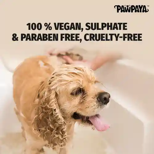 Pawpaya Silky Hair Conditioner 250ml – (Best Before May’26)