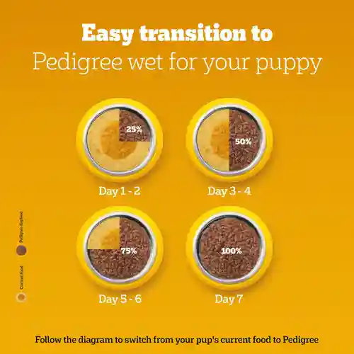 Pedigree Chicken & Liver Chunks In Gravy Puppy Wet Food, 130g