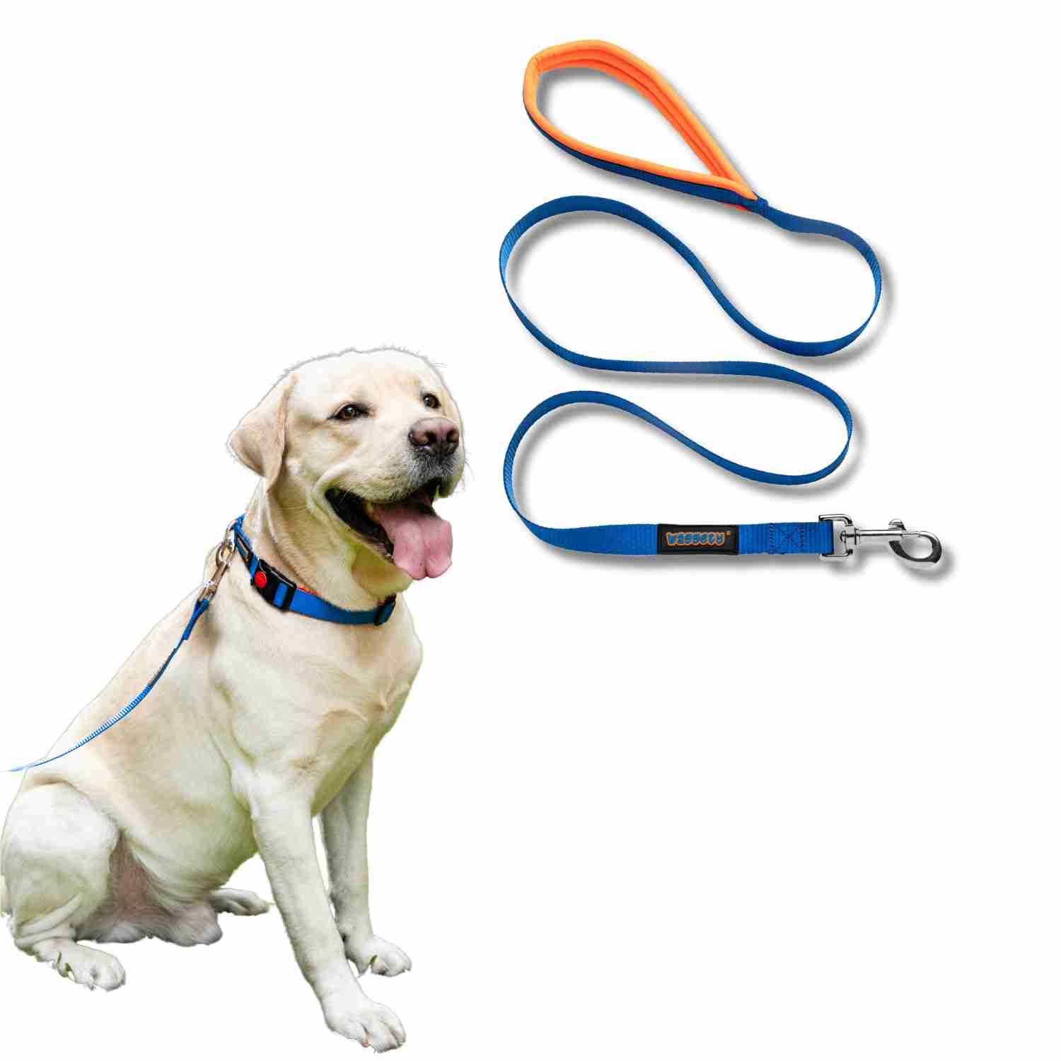 Waggety Dog Leash, Blue