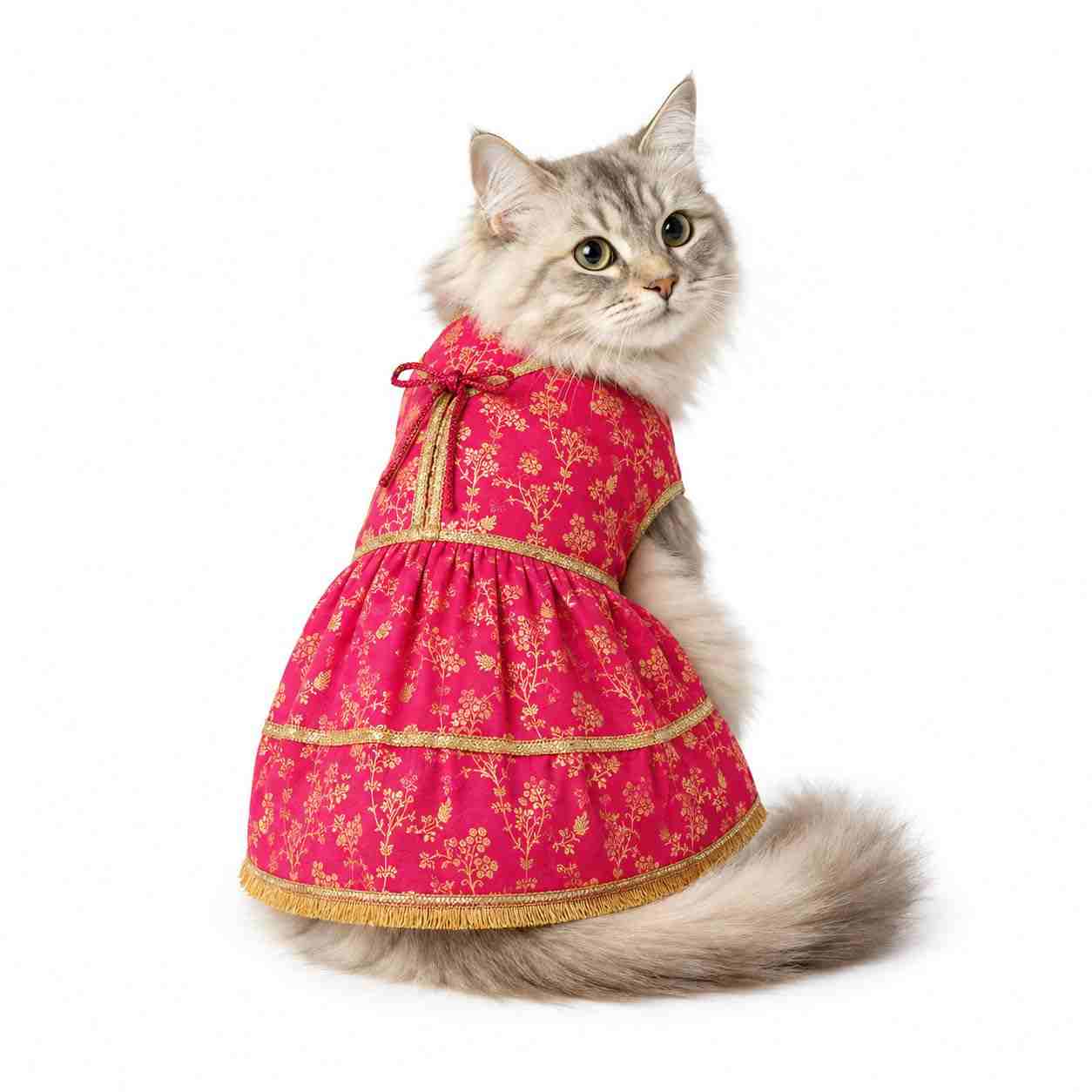 PawsIndia Traditional Royal Zari Dress for Cats - Pink